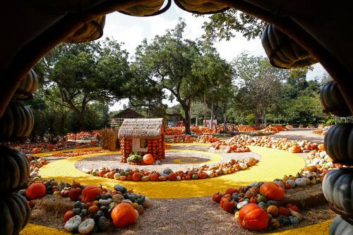 El Dallas Arboretum se viste de El Mago de Oz este año (DMN).
