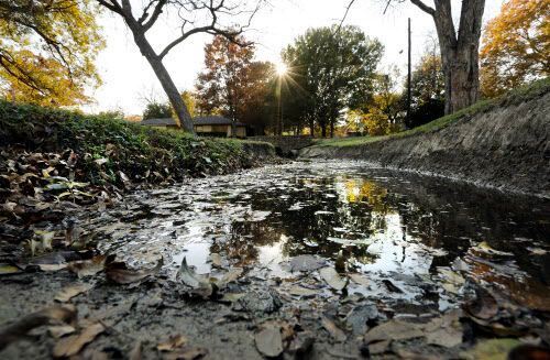 El agua estancada luego de las lluvias es el caldo de cultivo perfecto para que se...