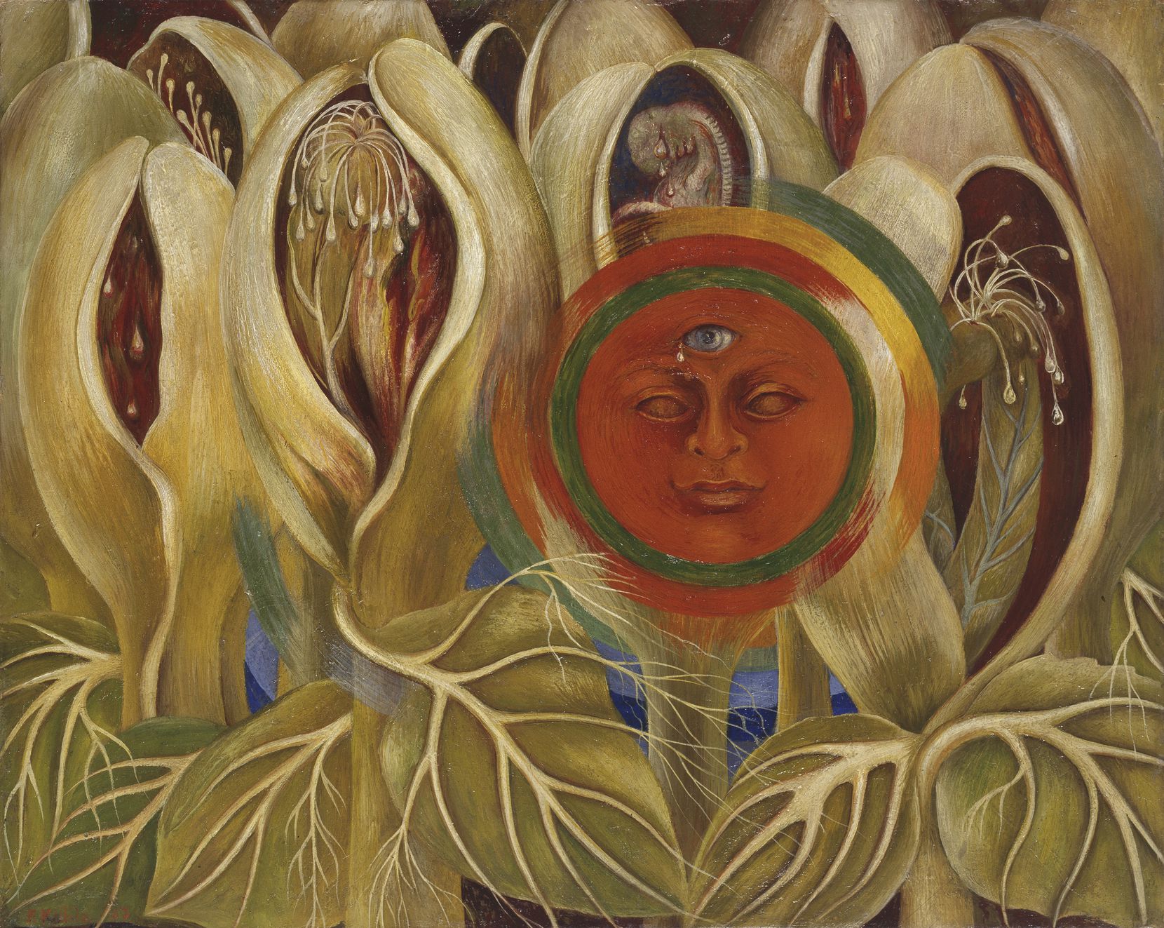 Frida Kahlo, "Sol y vida," 1947, óleo sobre masonita, colección privada, cortesía de Collar a Earl.  2021 Banco de México Diego Rivera Frida Kahlo Museums Trust, México, TF / Artists 'Rights Society (ARS), Nueva York