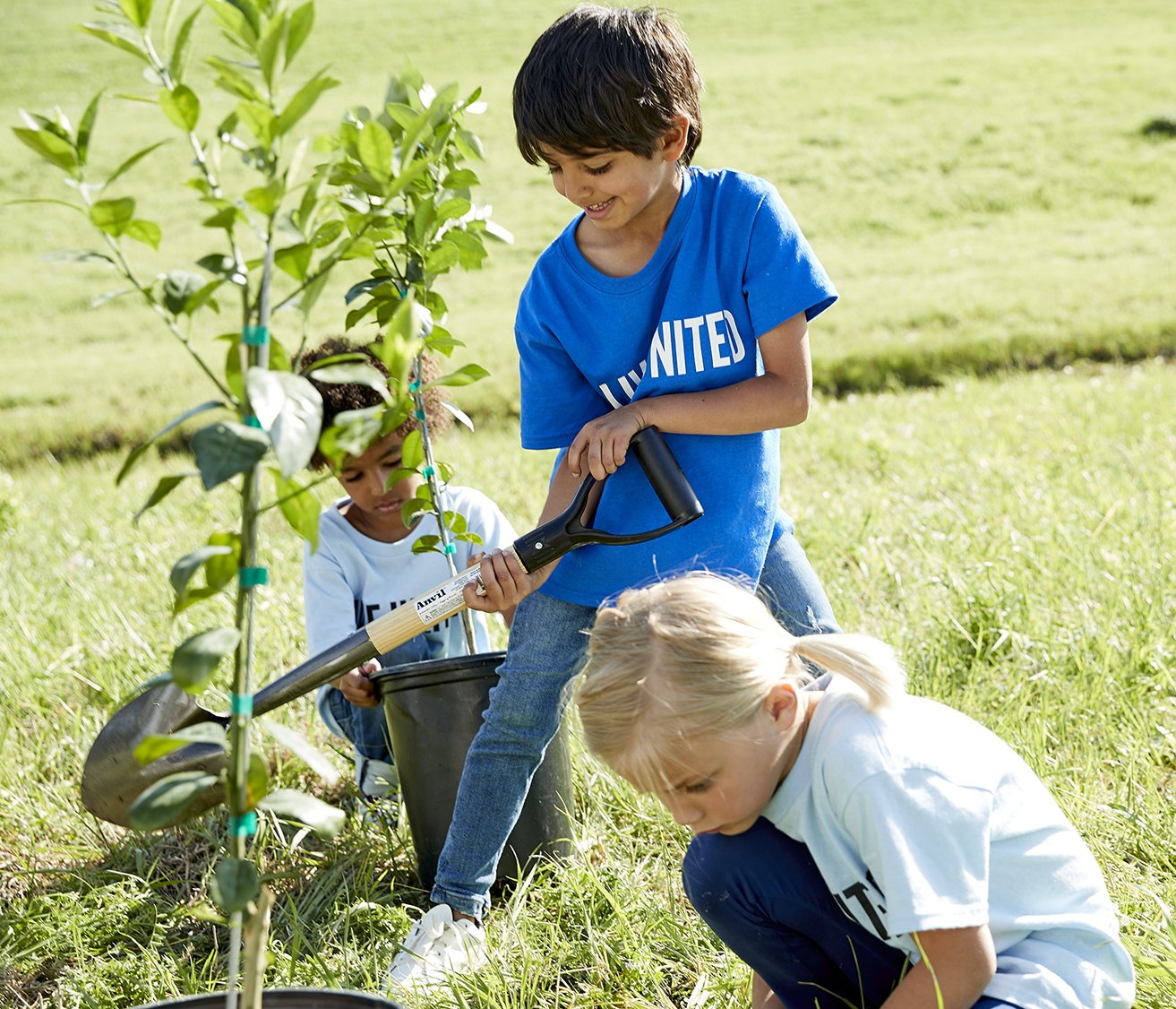 Three children outside planting a tree