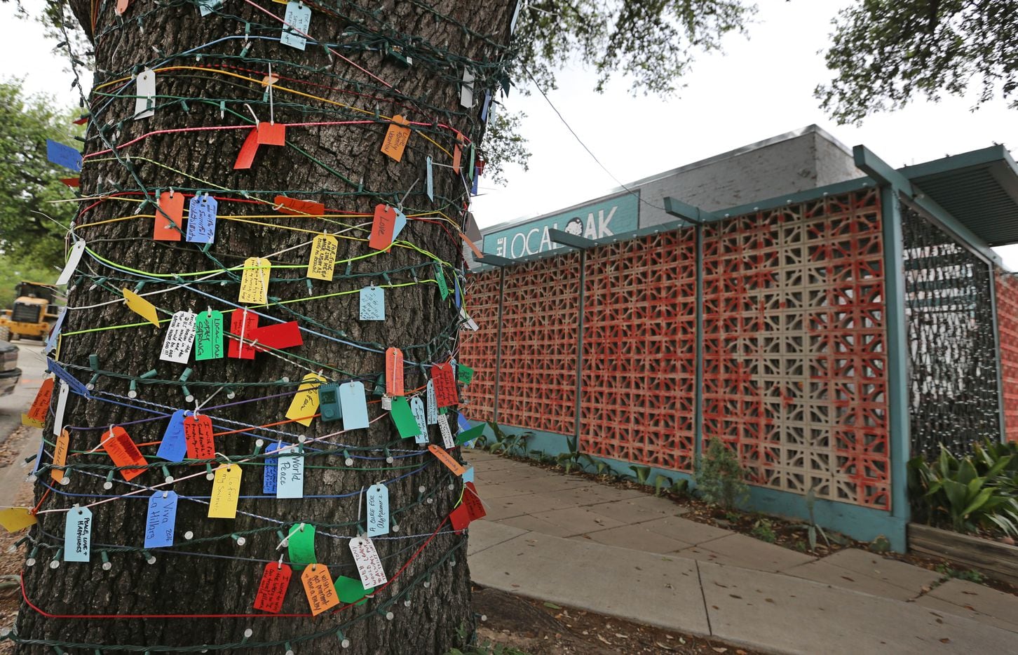 A tree covered with cards with wishes written on them is outside the Local Oak restaurant...