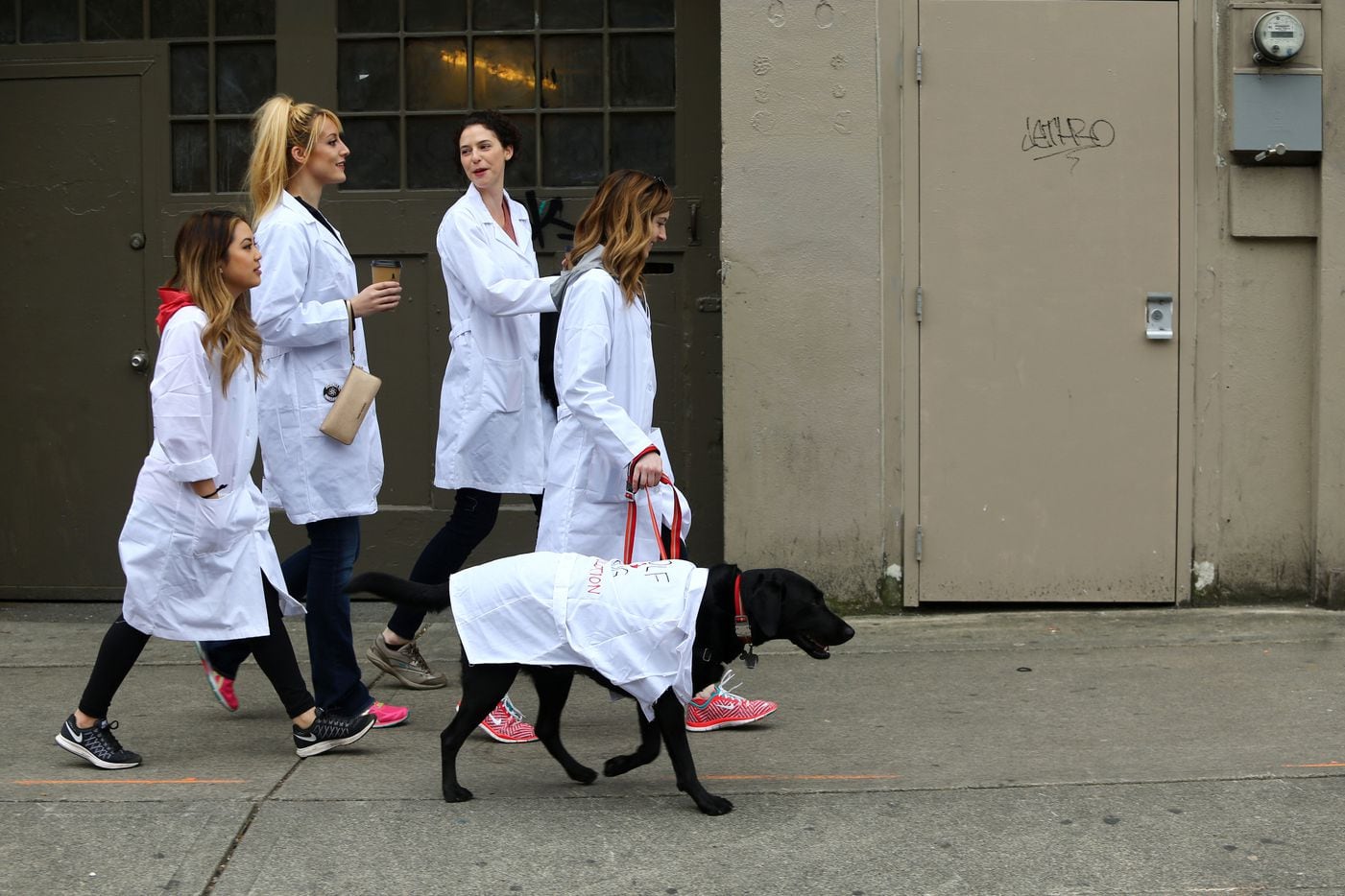 People head to a rally including a "lab in a lab coat" named Rodger and his owner Cate...