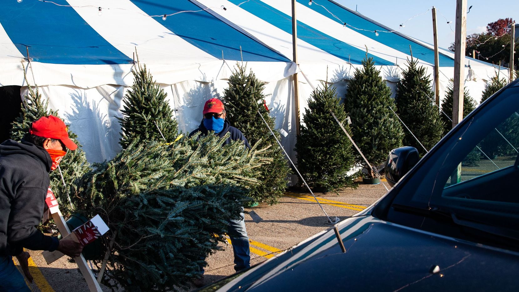Lot workers load a tree onto a customer’s Jeep at Patton’s Christmas Trees at Lakewood...