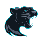 Panthers Logo