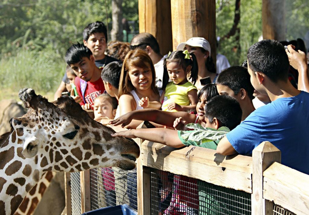 El Zoológico de Dallas decidió cerrar sus puertas por una semana para evitar aglomeraciones...