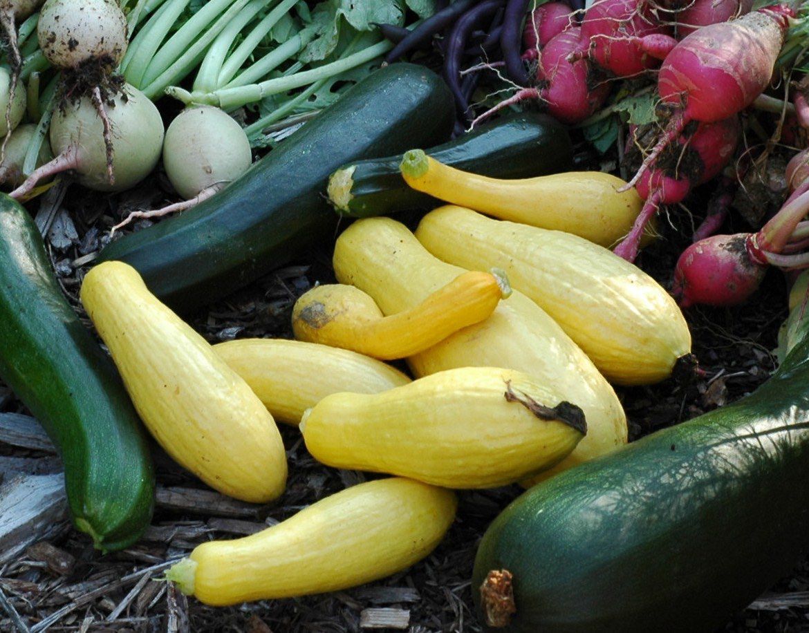 By growing healthy vegetables in your garden, you can cut down on trips to the grocery store.