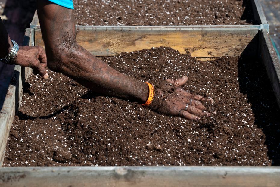 Gardener Morris Moye of Restorative Farms spreads soil for the farm expansion project.