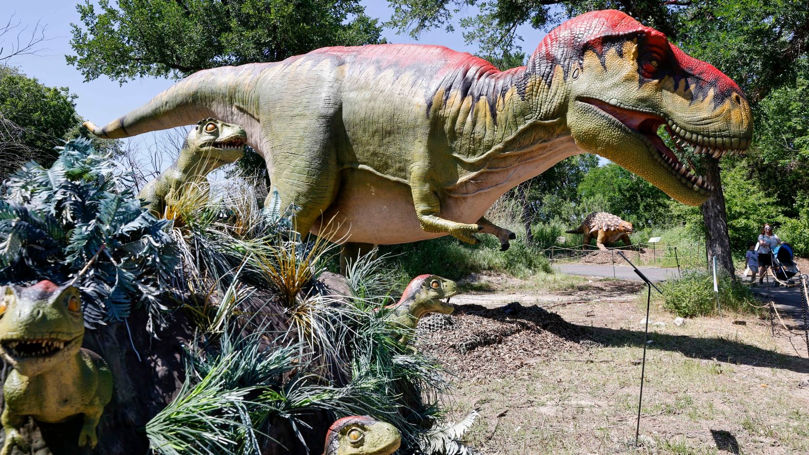 A large Tyrannosaurus looms over several smaller Tyrannosauruses at the Destination:...