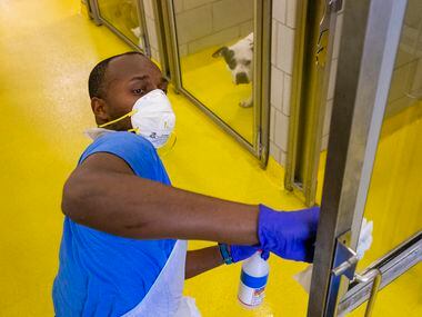 Nesredin Teshome, an animal keeper with Dallas Animal Services, disinfects a door inside the shelter in 2020.