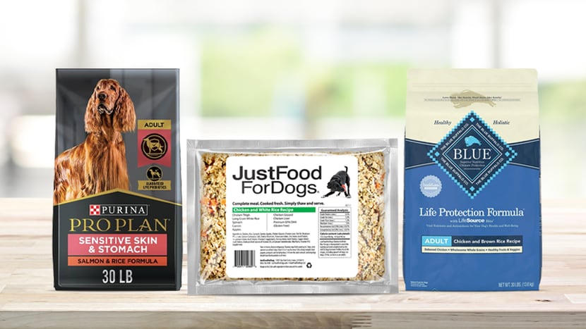 Best Dog Food: 5 Brands to Keep Your Pup in Top Shape This Year