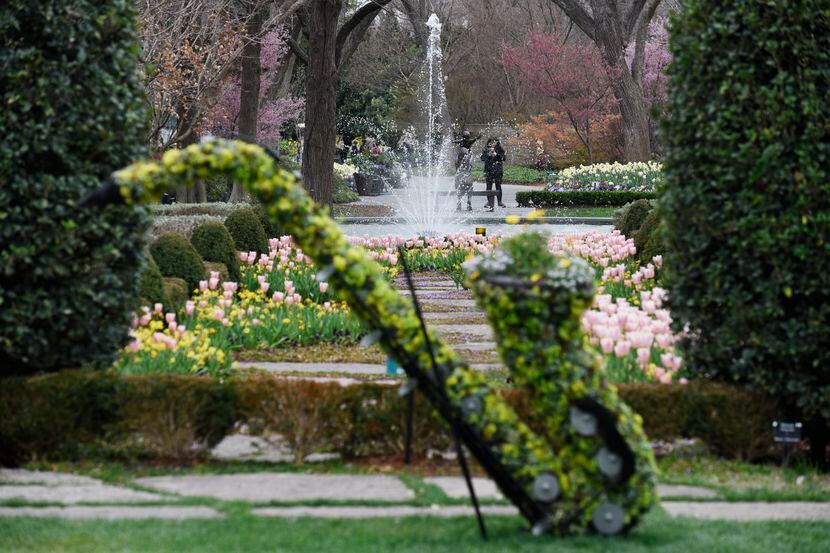 Los Sonidos de la Primavera era la exhibición de este año de Dallas Blooms, antes de que el...