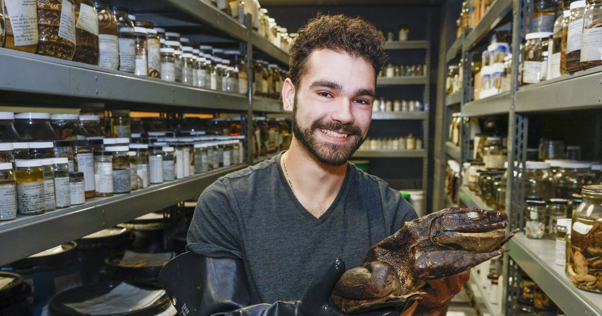 One of the largest reptile and amphibian collections in the country is at UTA