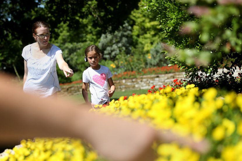 Calia Rodriguez camina por el Dallas Arboretum junto a su hija Ilane Rodriguez, 6.  (Rose...