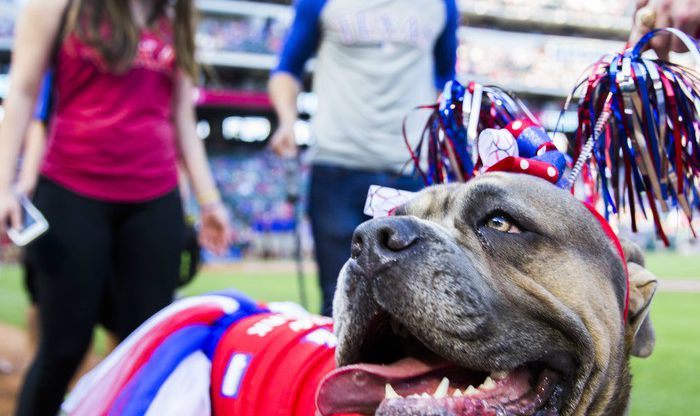 BringFido to Bark at the Park with the Texas Rangers