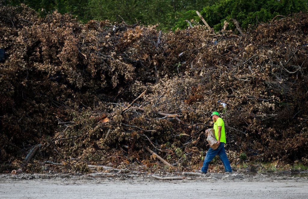 A worker added a log to a large pile of debris collected after recent storms at a temporary...