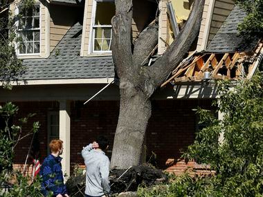 Liam Gault (left) and Ryan Hussain look back at a large tree that crushed a home on...