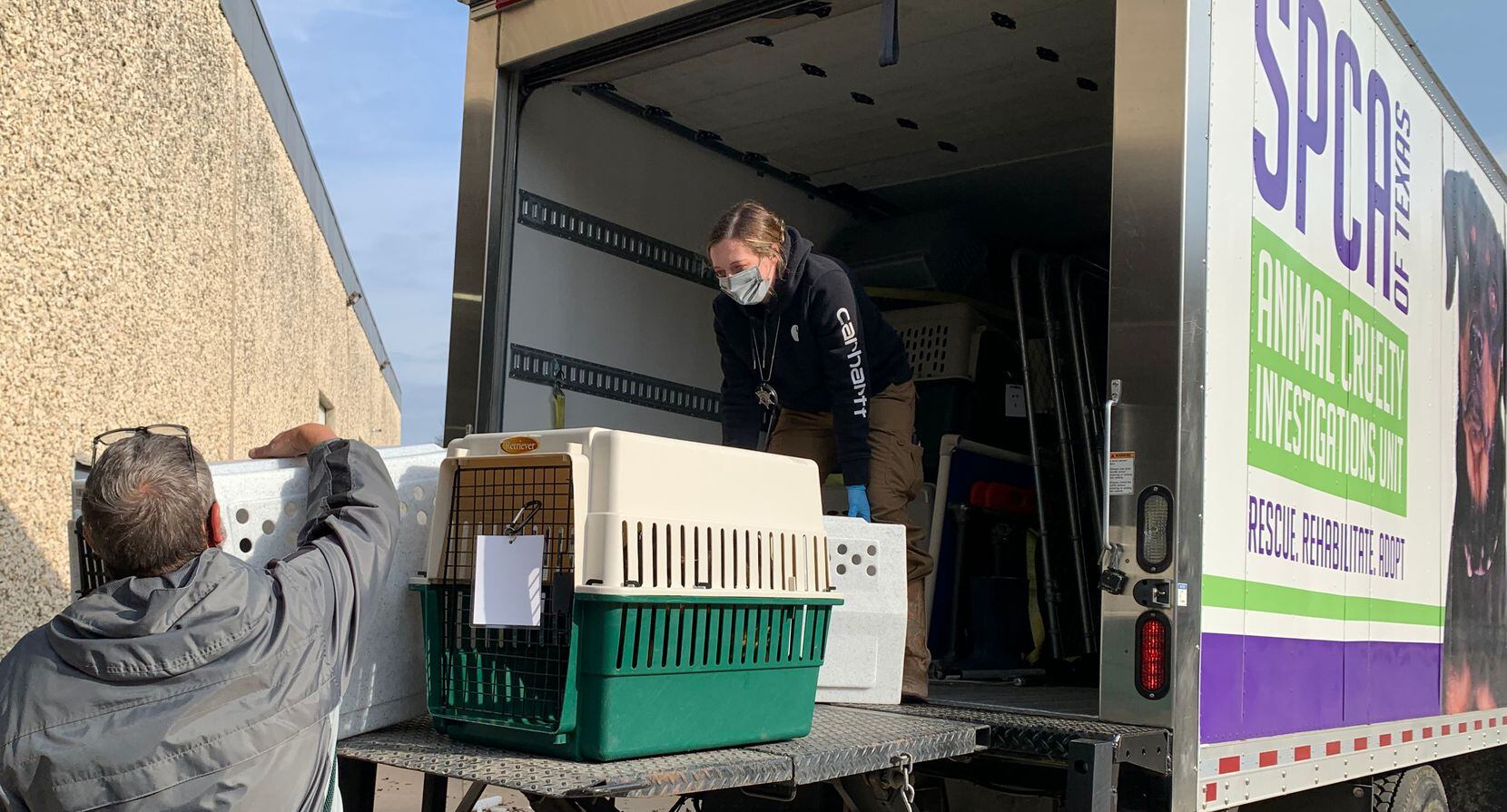 Dozens of cats and dogs have been seized by the Texas SPCA and Hunt County Sheriff...