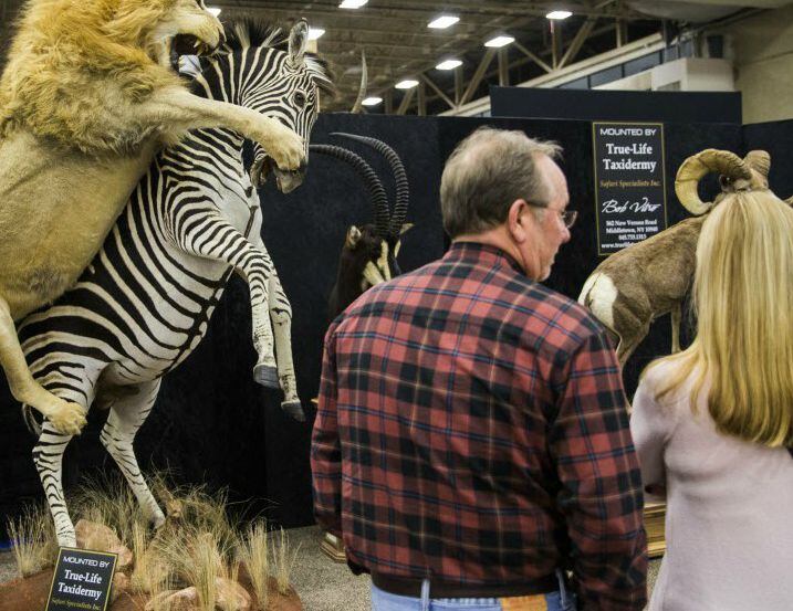 A couple looks at taxidermied animals at the Adventure Convention Sporting Expo in downtown...