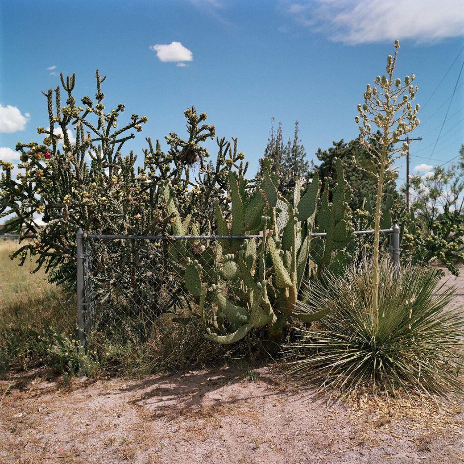 Allison V. Smith, Fenced In, July 2016, Marfa, chromogenic color photograph courtesy Allison V. Smith and Barry Whistler Gallery