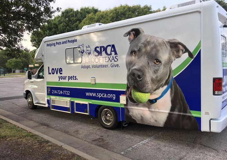 Una clínica para esterlizara mascotas de SPCA. Una campaña con fondos privados logró...