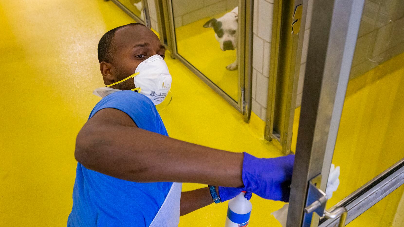 Nesredin Teshome, an animal keeper with Dallas Animal Services, disinfects a door inside the...