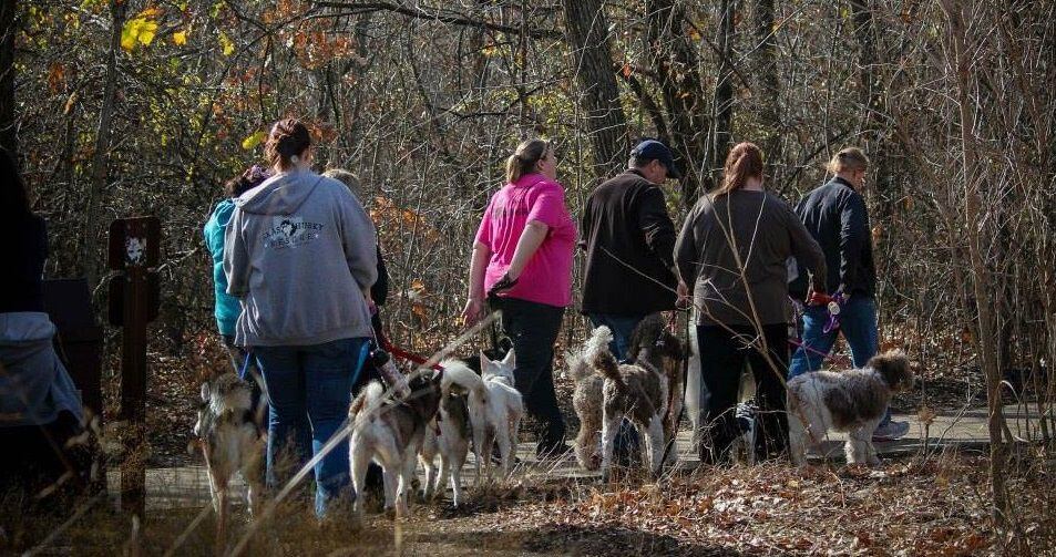 DOGSDFW is kicking off the new year with a hike Sunday at Arbor Hills Nature Preserve in...