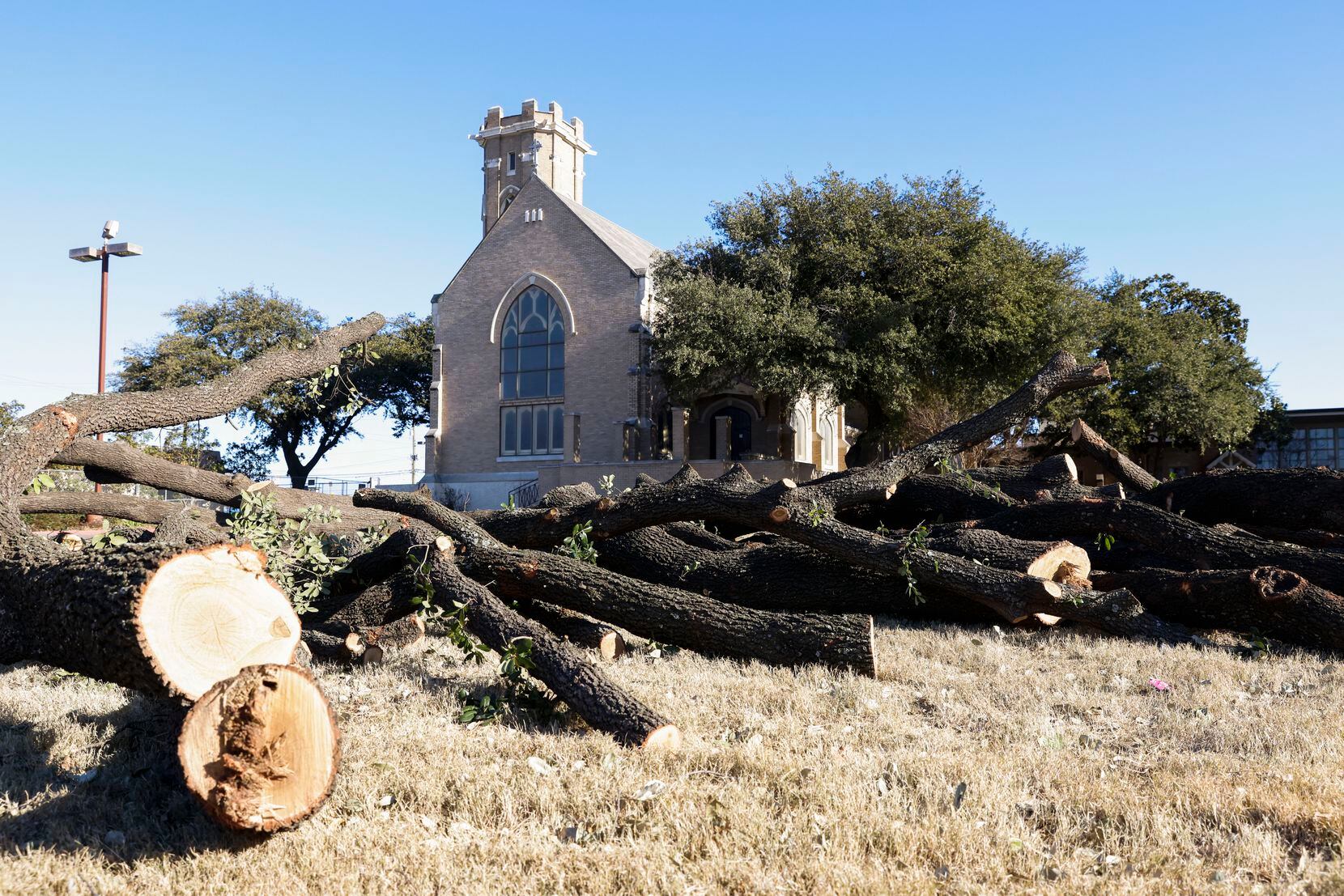 Piles of tree limbs covered the open space near St. Matthew's Episcopal Cathedral for days...