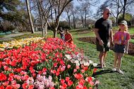 Iden Ritchie, 10 of Dallas and her father Ronnie Ritchie walk by flowers at the Dallas...