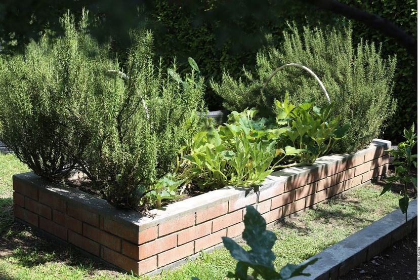 Foto de el compostero en un jardín, con plantas y una pared de ladrillo color naranja.