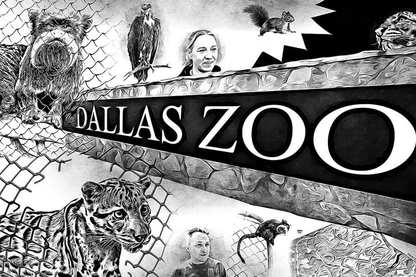 How the Dallas Zoo mystery unraveled