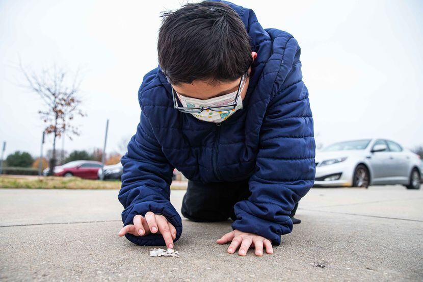 David Sanroman, 7, counts some rocks that he picked up from the ground at Frank Guzick...