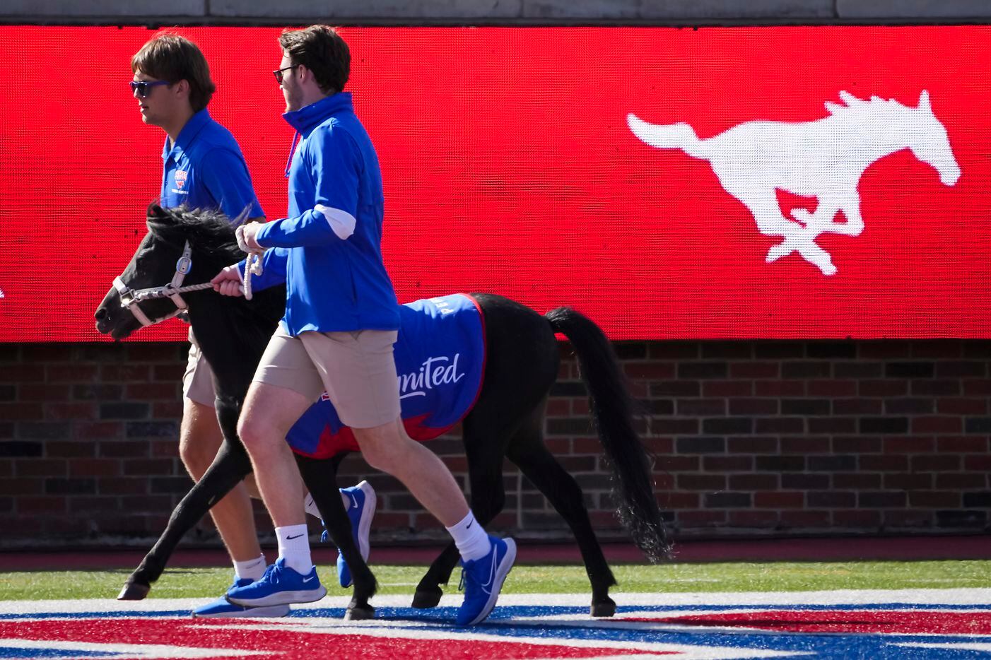 Handlers run SMU mascot Peruna on the field before an NCAA football game against UCF at Ford...