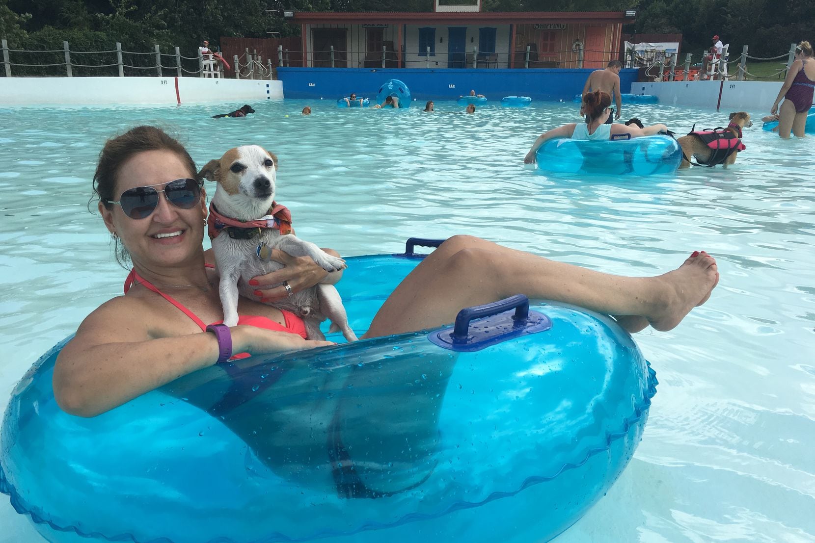 Dog About Town: Riding a wave of pool parties and more things to do