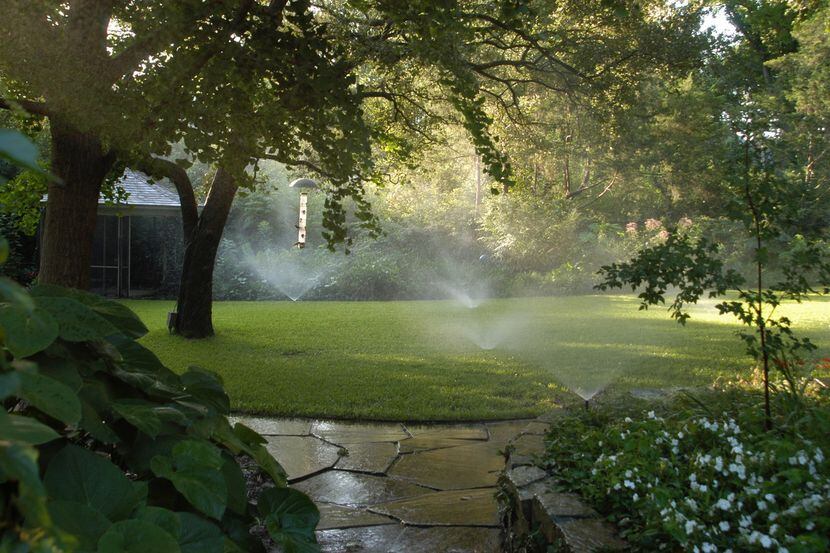Está prohibido el uso de aspersores para regar patios y jardines durante las horas pico de...