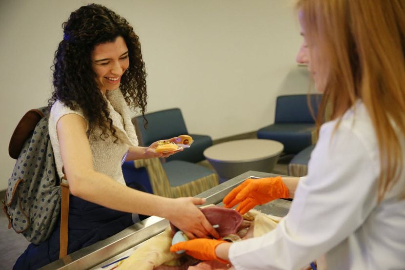 Collin College business student Ashley Gardea (left) examines a synthetic cadaver with the...