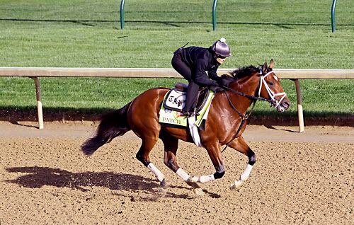 Patch, or Parche, es un caballo con un solo ojo que competirá en el Kentucky Derby. Foto AP
