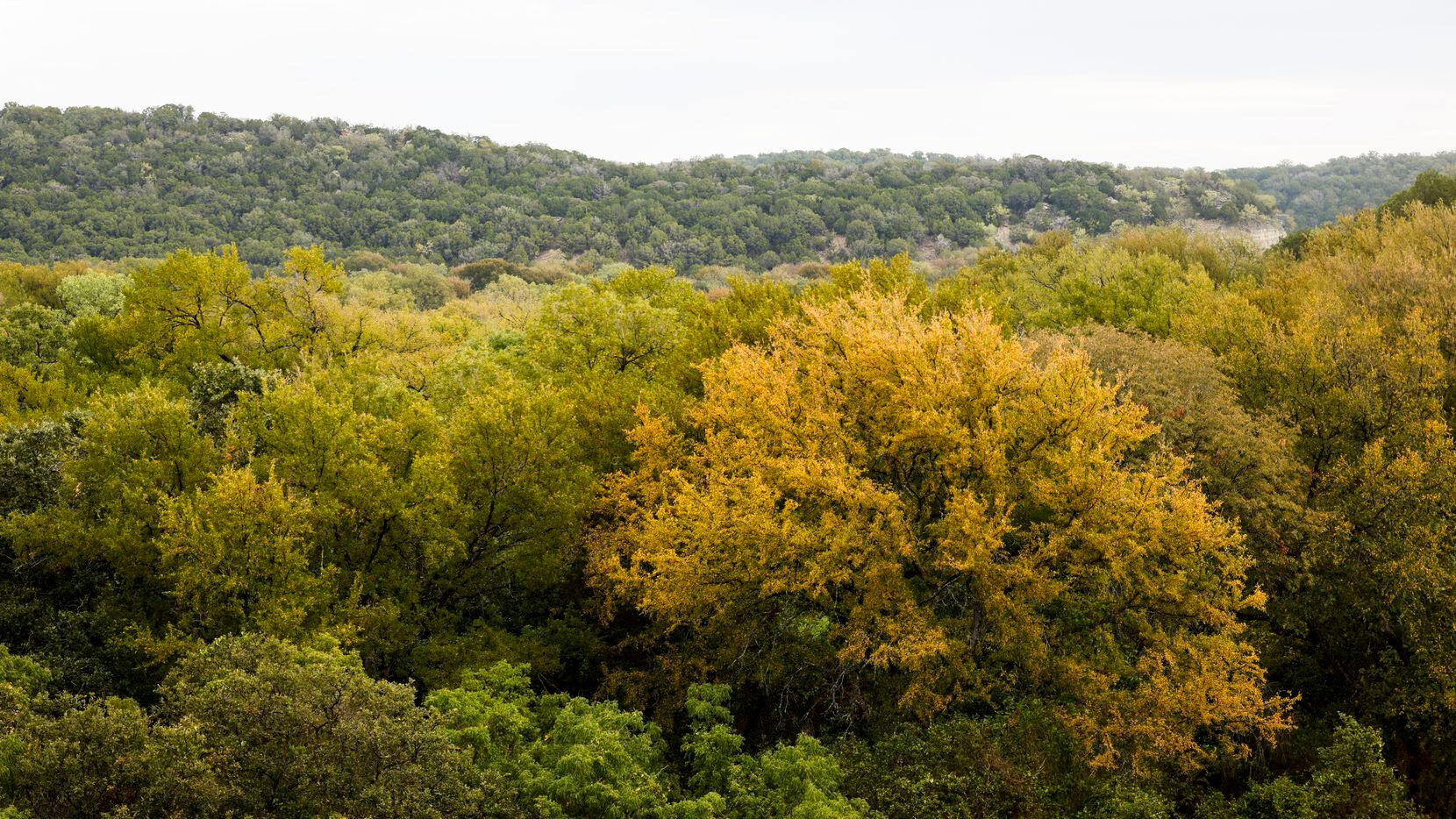 Public-private partnerships are poised to add three jewels to the Texas Parks and Wildlife...