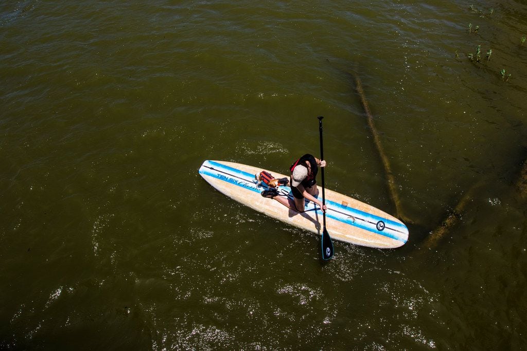 Alyssa Lee, of Dallas, looks back at her dog Ellie while paddle boarding at White Rock Lake...
