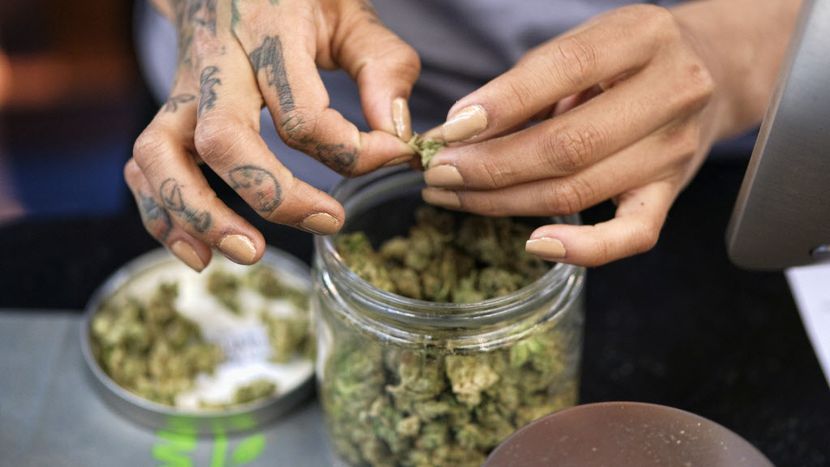 Texas is getting ready for when legal weed becomes a local industry