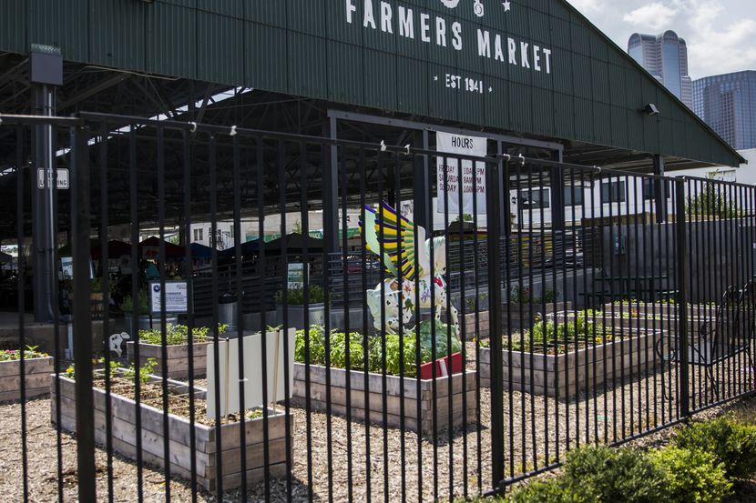 Downtown Dallas buildings peek from behind the Dallas Farmers Market on South Cesar Chavez...
