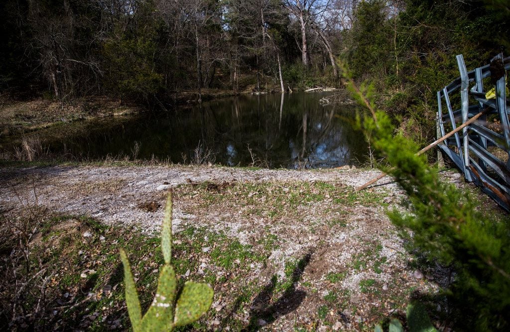 A spring sits near the Trinity River in McCommas Bluff Preserve inside the Great Trinity...