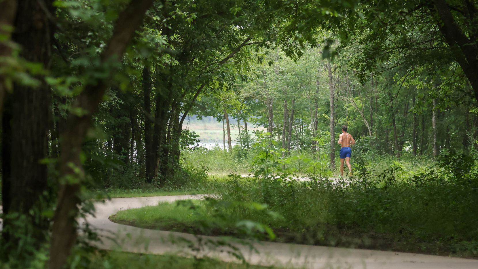 A runner moves along a trail in a wooded area of Oak Point Park and Nature Preserve in Plano...