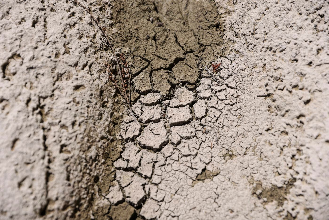 Dried mud in the rock bed of where the Guadalupe River once flowed, Wednesday, August 10,...