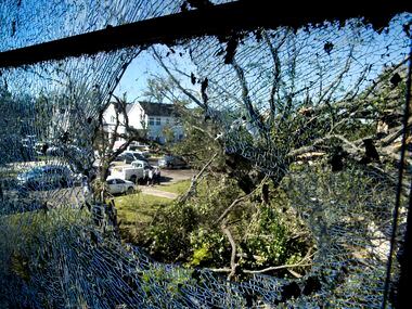 Damaged homes and down trees on Pemberton Drive in Dallas are seen through Eva wiley's...