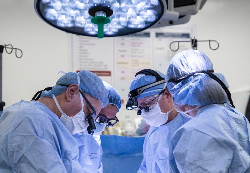 Los cirujanos del Centro Médico de la Universidad de Baylor en Dallas retiran con cuidado el...