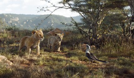 Una escena de la nueva película de Disney, "The Lion King" o El Rey León.