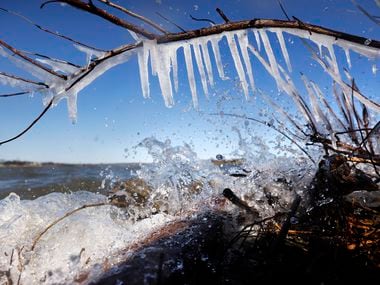 With temperatures below freezing, wind driven waves crash against the shore of White Rock Lake, causing icicles to form on branches in Dallas, January 2, 2022.