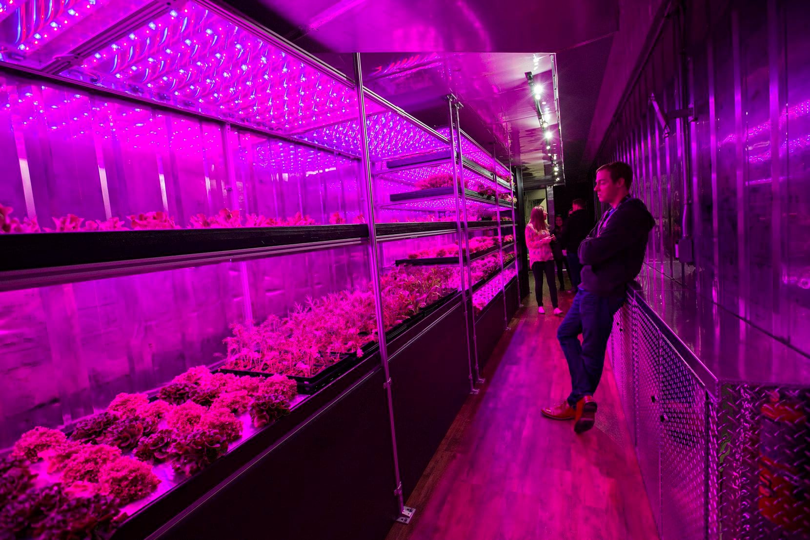 Eric Ellestad, CEO of Local Roots, stands in one of the company's indoor farms at SXSW....