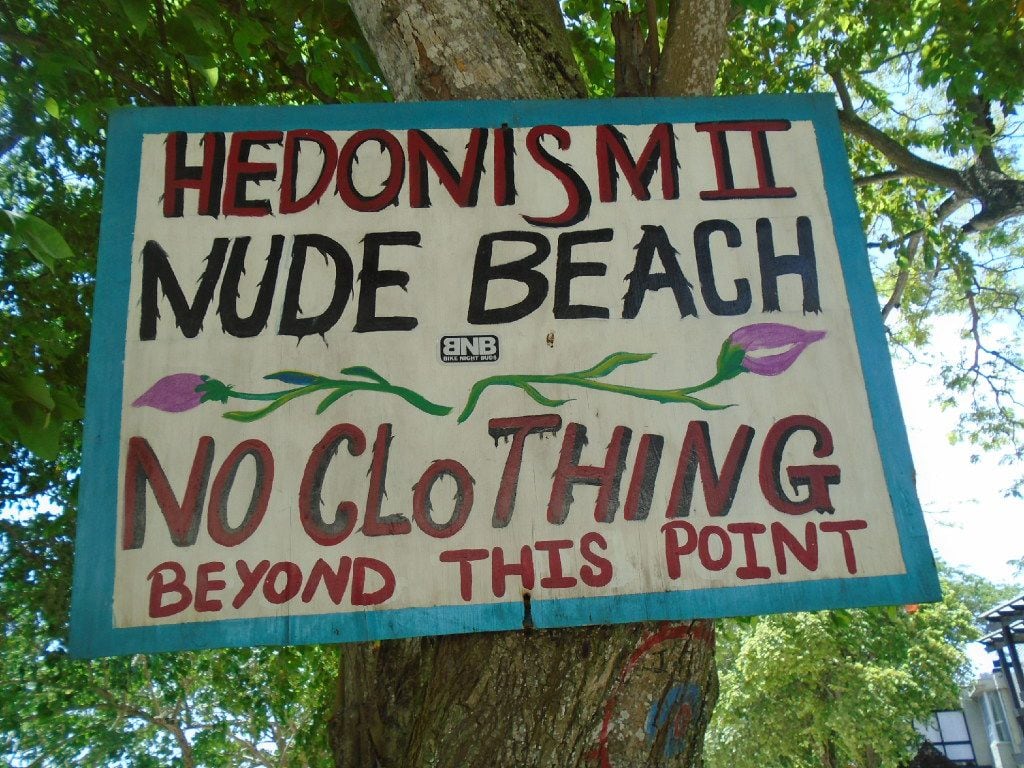 naked news hedonism