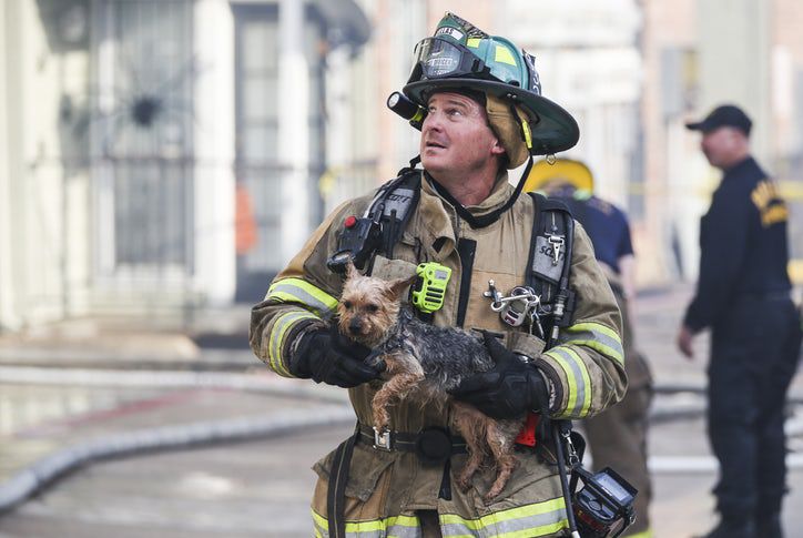 Un bombero rescata un Yorkie de un complejo de apartamentos que se incendió el martes. RYAN...